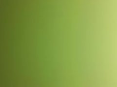 Вечерний секс раком с милой проституткой